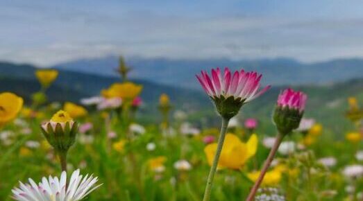 Datos de calefacci&oacute;n 2022: Un invierno menos fr&iacute;o